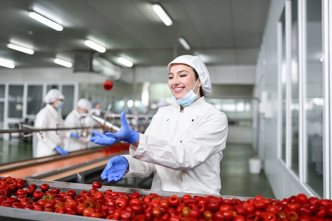 Medewerker in een foodproductieomgeving die werkt aan een transportband met groente of fruit.